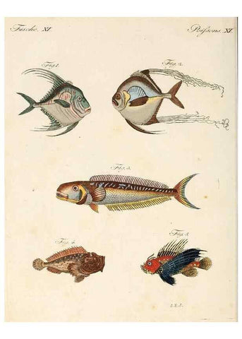 Reproducción/Reproduction 7002718317: Porte-feuille instructif et amusant pour la jeunesse :. Àvienne,Chez Antoine Pichler,1807.