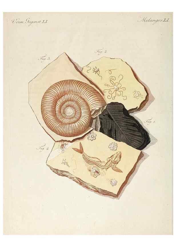 Reproducción/Reproduction 7002714791: Porte-feuille instructif et amusant pour la jeunesse :. Àvienne,Chez Antoine Pichler,1807.