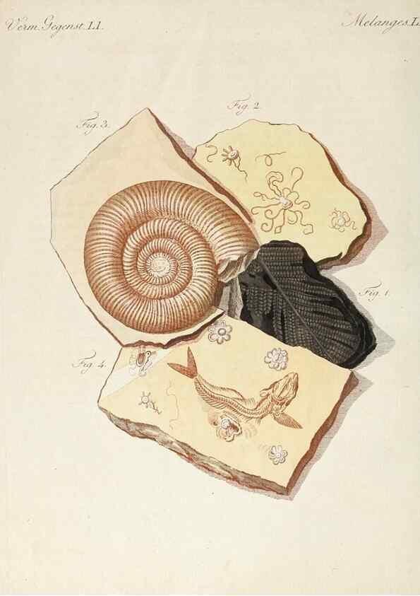 Reproducción/Reproduction 7002714791: Porte-feuille instructif et amusant pour la jeunesse :. Àvienne,Chez Antoine Pichler,1807.