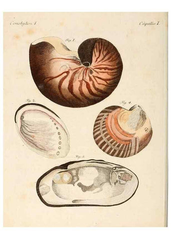 Reproducción/Reproduction 6856613442: Porte-feuille instructif et amusant pour la jeunesse :. Àvienne,Chez Antoine Pichler,1807.
