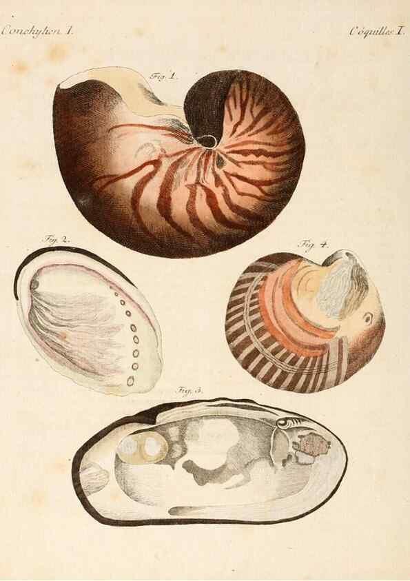 Reproducción/Reproduction 6856613442: Porte-feuille instructif et amusant pour la jeunesse :. Àvienne,Chez Antoine Pichler,1807.