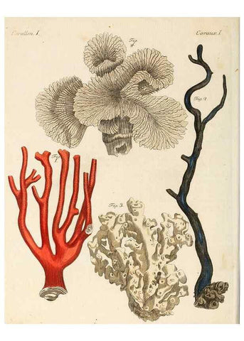Reproducción/Reproduction 7002728959: Porte-feuille instructif et amusant pour la jeunesse :. Àvienne,Chez Antoine Pichler,1807.