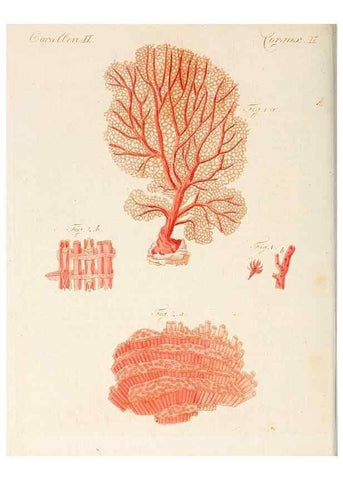 Reproducción/Reproduction 7002729333: Porte-feuille instructif et amusant pour la jeunesse :. Àvienne,Chez Antoine Pichler,1807.