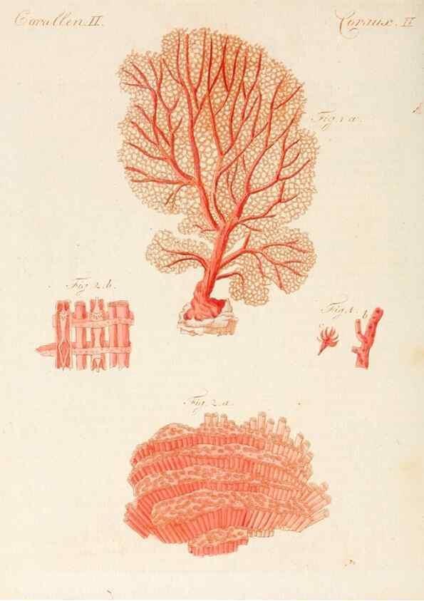 Reproducción/Reproduction 7002729333: Porte-feuille instructif et amusant pour la jeunesse :. Àvienne,Chez Antoine Pichler,1807.