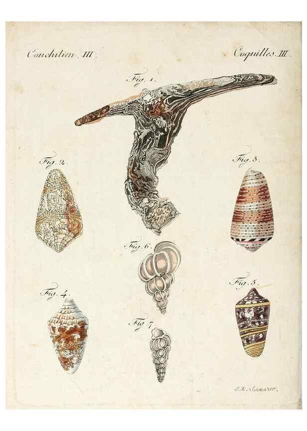 Reproducción/Reproduction 7002728433: Porte-feuille instructif et amusant pour la jeunesse :. Àvienne,Chez Antoine Pichler,1807.
