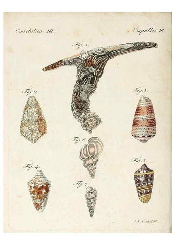 Reproducción/Reproduction 7002728433: Porte-feuille instructif et amusant pour la jeunesse :. Àvienne,Chez Antoine Pichler,1807.