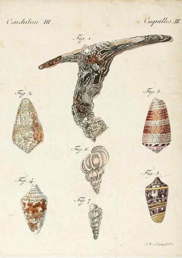 Reproducción/Reproduction 7002728433: Porte-feuille instructif et amusant pour la jeunesse :. Àvienne,Chez Antoine Pichler,1807.