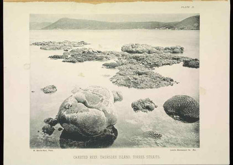Reproducción/Reproduction 7044657633: The Great Barrier Reef of Australia;. London :W.H. Allen,[1893]