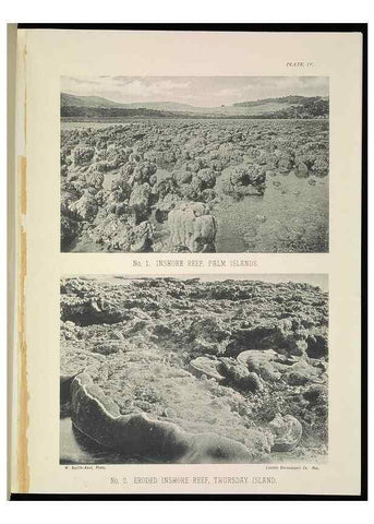Reproducción/Reproduction 7044658013: The Great Barrier Reef of Australia;. London :W.H. Allen,[1893]