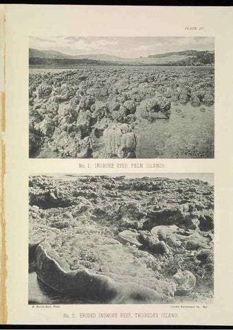 Reproducción/Reproduction 7044658013: The Great Barrier Reef of Australia;. London :W.H. Allen,[1893]