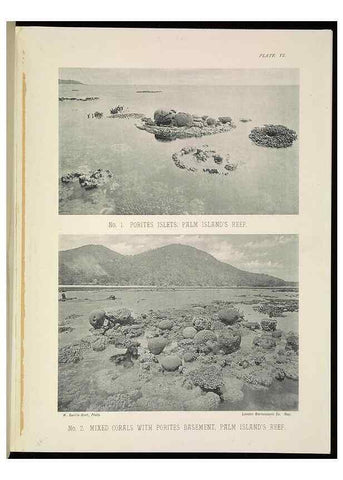 Reproducción/Reproduction 6898562856: The Great Barrier Reef of Australia;. London :W.H. Allen,[1893]