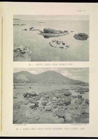Reproducción/Reproduction 6898562856: The Great Barrier Reef of Australia;. London :W.H. Allen,[1893]