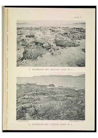 Reproducción/Reproduction 6898565068: The Great Barrier Reef of Australia;. London :W.H. Allen,[1893]