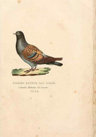 Reproducción/Reproduction 7042546769: Les pigeons. Paris,Audot,1824.