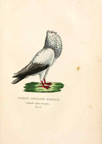 Reproducción/Reproduction 7042536639: Les pigeons. Paris,Audot,1824.