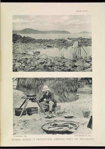 Reproducción/Reproduction 6898567026: The Great Barrier Reef of Australia;. London :W.H. Allen,[1893]