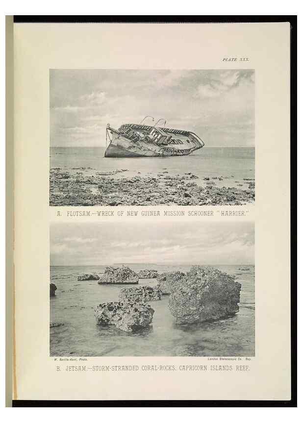 Reproducción/Reproduction 7044663997: The Great Barrier Reef of Australia;. London :W.H. Allen,[1893]