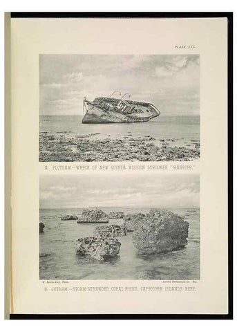 Reproducción/Reproduction 7044663997: The Great Barrier Reef of Australia;. London :W.H. Allen,[1893]