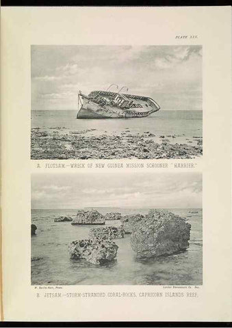 Reproducción/Reproduction 7044663997: The Great Barrier Reef of Australia;. London :W.H. Allen,[1893]