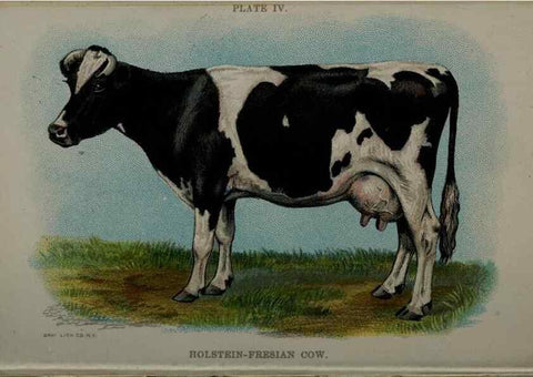Reproducción/Reproduction 6981913809: Biggle cow book; . Philadelphia,W. Atkinson co.,1898.