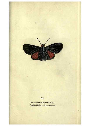 Reproducción/Reproduction 6800130444: The book of butterflies, sphinxes and moths;. London,Whittaker,1832-34.