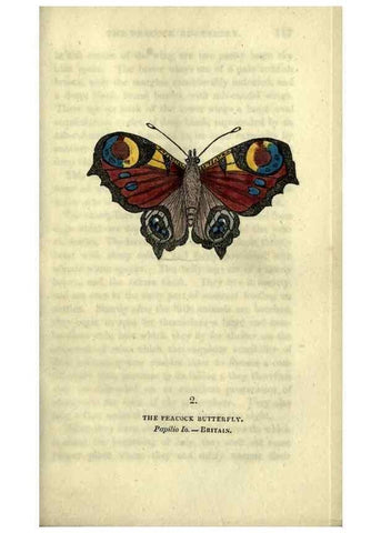 Reproducción/Reproduction 6800113266: The book of butterflies, sphinxes and moths;. London,Whittaker,1832-34.