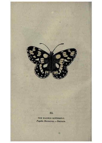 Reproducción/Reproduction 6800124700: The book of butterflies, sphinxes and moths;. London,Whittaker,1832-34.