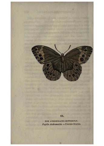 Reproducción/Reproduction 6946233273: The book of butterflies, sphinxes and moths;. London,Whittaker,1832-34.