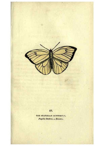 Reproducción/Reproduction 6946234789: The book of butterflies, sphinxes and moths;. London,Whittaker,1832-34.