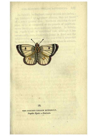 Reproducción/Reproduction 6946224901: The book of butterflies, sphinxes and moths;. London,Whittaker,1832-34.