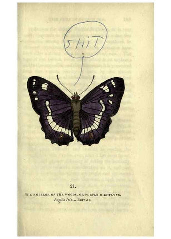 Reproducción/Reproduction 6800119908: The book of butterflies, sphinxes and moths;. London,Whittaker,1832-34.