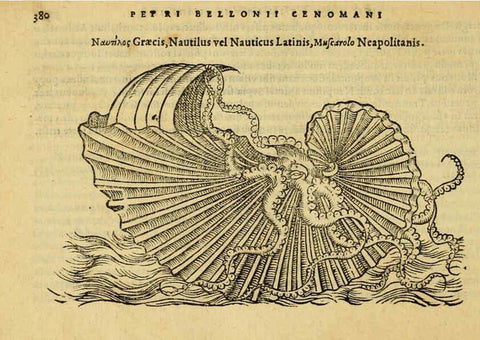 Reproducción/Reproduction 6418730685: Petri Bellonii Cenomani De aquatilibus, libri duo cum [epsilon, iota] conibus ad viuam ipsorum effigiem, quoad eius fieri potuit, expressis ... Parisiis,Apud C. Stephanum,1553