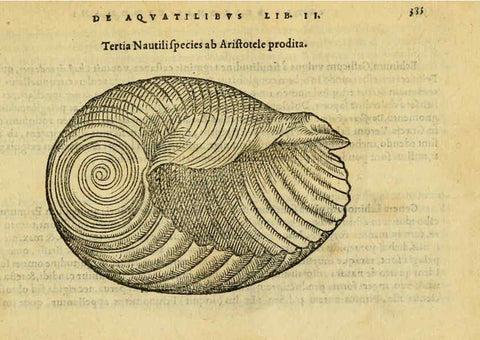 Reproducción/Reproduction 6418731331: Petri Bellonii Cenomani De aquatilibus, libri duo cum [epsilon, iota] conibus ad viuam ipsorum effigiem, quoad eius fieri potuit, expressis ... Parisiis,Apud C. Stephanum,1553