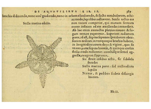 Reproducción/Reproduction 6418731643: Petri Bellonii Cenomani De aquatilibus, libri duo cum [epsilon, iota] conibus ad viuam ipsorum effigiem, quoad eius fieri potuit, expressis ... Parisiis,Apud C. Stephanum,1553