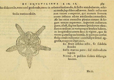 Reproducción/Reproduction 6418731643: Petri Bellonii Cenomani De aquatilibus, libri duo cum [epsilon, iota] conibus ad viuam ipsorum effigiem, quoad eius fieri potuit, expressis ... Parisiis,Apud C. Stephanum,1553