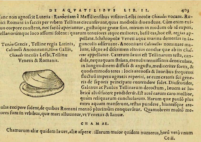 Reproducción/Reproduction 6418734277: Petri Bellonii Cenomani De aquatilibus, libri duo cum [epsilon, iota] conibus ad viuam ipsorum effigiem, quoad eius fieri potuit, expressis ... Parisiis,Apud C. Stephanum,1553