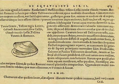 Reproducción/Reproduction 6418734277: Petri Bellonii Cenomani De aquatilibus, libri duo cum [epsilon, iota] conibus ad viuam ipsorum effigiem, quoad eius fieri potuit, expressis ... Parisiis,Apud C. Stephanum,1553