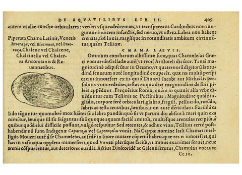 Reproducción/Reproduction 6418734621: Petri Bellonii Cenomani De aquatilibus, libri duo cum [epsilon, iota] conibus ad viuam ipsorum effigiem, quoad eius fieri potuit, expressis ... Parisiis,Apud C. Stephanum,1553