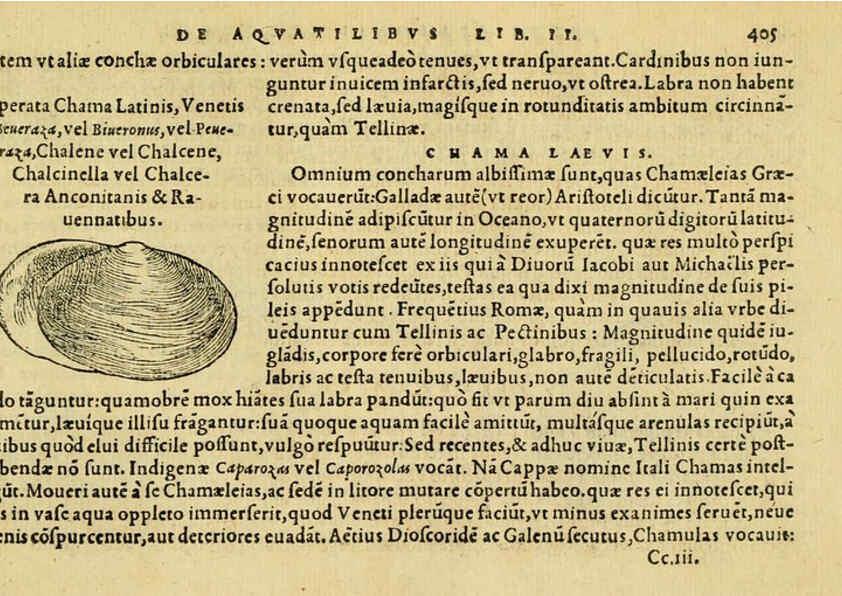 Reproducción/Reproduction 6418734621: Petri Bellonii Cenomani De aquatilibus, libri duo cum [epsilon, iota] conibus ad viuam ipsorum effigiem, quoad eius fieri potuit, expressis ... Parisiis,Apud C. Stephanum,1553