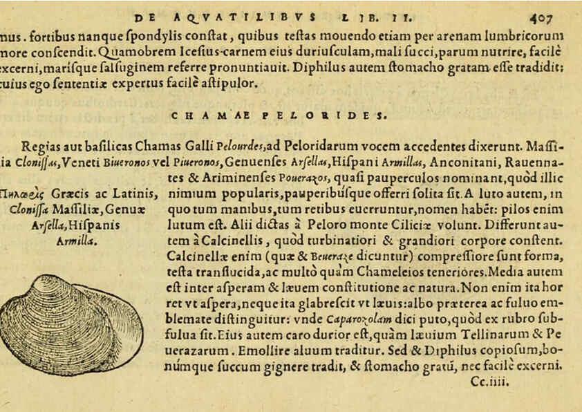 Reproducción/Reproduction 6418735441: Petri Bellonii Cenomani De aquatilibus, libri duo cum [epsilon, iota] conibus ad viuam ipsorum effigiem, quoad eius fieri potuit, expressis ... Parisiis,Apud C. Stephanum,1553