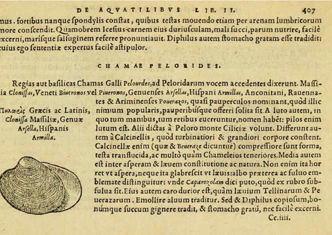 Reproducción/Reproduction 6418735441: Petri Bellonii Cenomani De aquatilibus, libri duo cum [epsilon, iota] conibus ad viuam ipsorum effigiem, quoad eius fieri potuit, expressis ... Parisiis,Apud C. Stephanum,1553