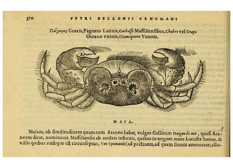 Reproducción/Reproduction 6418727895: Petri Bellonii Cenomani De aquatilibus, libri duo cum [epsilon, iota] conibus ad viuam ipsorum effigiem, quoad eius fieri potuit, expressis ... Parisiis,Apud C. Stephanum,1553