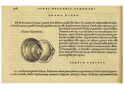 Reproducción/Reproduction 6418735909: Petri Bellonii Cenomani De aquatilibus, libri duo cum [epsilon, iota] conibus ad viuam ipsorum effigiem, quoad eius fieri potuit, expressis ... Parisiis,Apud C. Stephanum,1553
