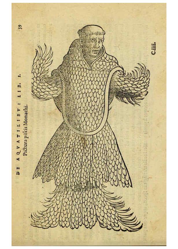 Reproducción/Reproduction 6418675121: Petri Bellonii Cenomani De aquatilibus, libri duo cum [epsilon, iota] conibus ad viuam ipsorum effigiem, quoad eius fieri potuit, expressis ... Parisiis,Apud C. Stephanum,1553