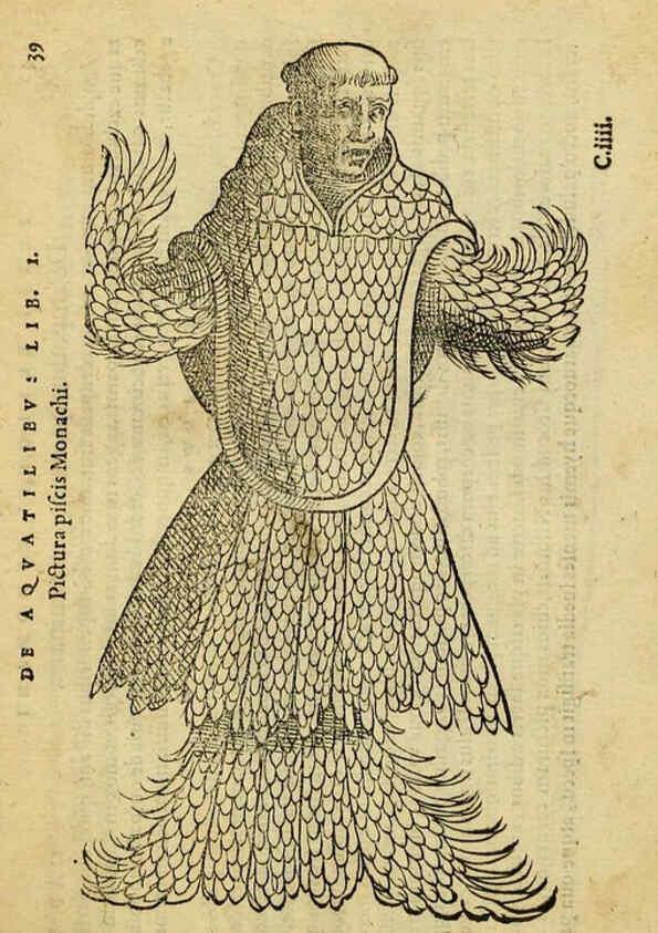 Reproducción/Reproduction 6418675121: Petri Bellonii Cenomani De aquatilibus, libri duo cum [epsilon, iota] conibus ad viuam ipsorum effigiem, quoad eius fieri potuit, expressis ... Parisiis,Apud C. Stephanum,1553