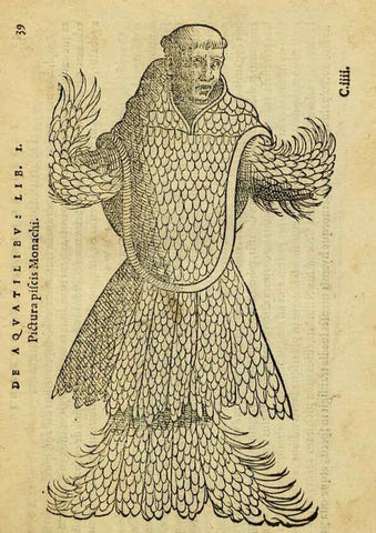 Reproducción/Reproduction 6418675121: Petri Bellonii Cenomani De aquatilibus, libri duo cum [epsilon, iota] conibus ad viuam ipsorum effigiem, quoad eius fieri potuit, expressis ... Parisiis,Apud C. Stephanum,1553