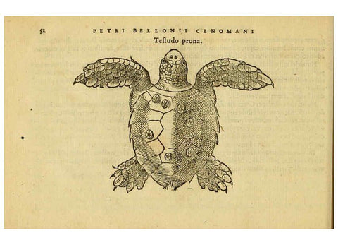 Reproducción/Reproduction 6418677731: Petri Bellonii Cenomani De aquatilibus, libri duo cum [epsilon, iota] conibus ad viuam ipsorum effigiem, quoad eius fieri potuit, expressis ... Parisiis,Apud C. Stephanum,1553