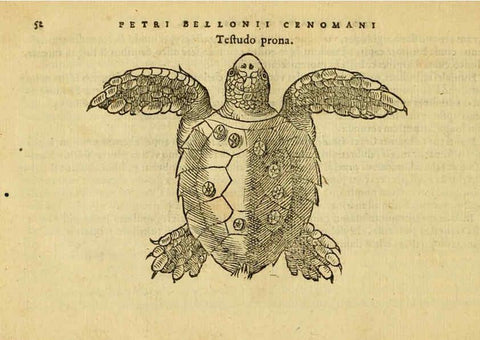 Reproducción/Reproduction 6418677731: Petri Bellonii Cenomani De aquatilibus, libri duo cum [epsilon, iota] conibus ad viuam ipsorum effigiem, quoad eius fieri potuit, expressis ... Parisiis,Apud C. Stephanum,1553