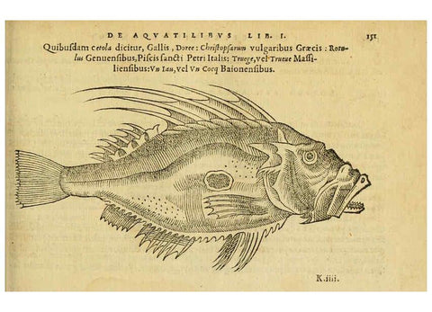 Reproducción/Reproduction 6418696065: Petri Bellonii Cenomani De aquatilibus, libri duo cum [epsilon, iota] conibus ad viuam ipsorum effigiem, quoad eius fieri potuit, expressis ... Parisiis,Apud C. Stephanum,1553