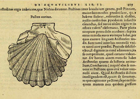Reproducción/Reproduction 6418736319: Petri Bellonii Cenomani De aquatilibus, libri duo cum [epsilon, iota] conibus ad viuam ipsorum effigiem, quoad eius fieri potuit, expressis ... Parisiis,Apud C. Stephanum,1553